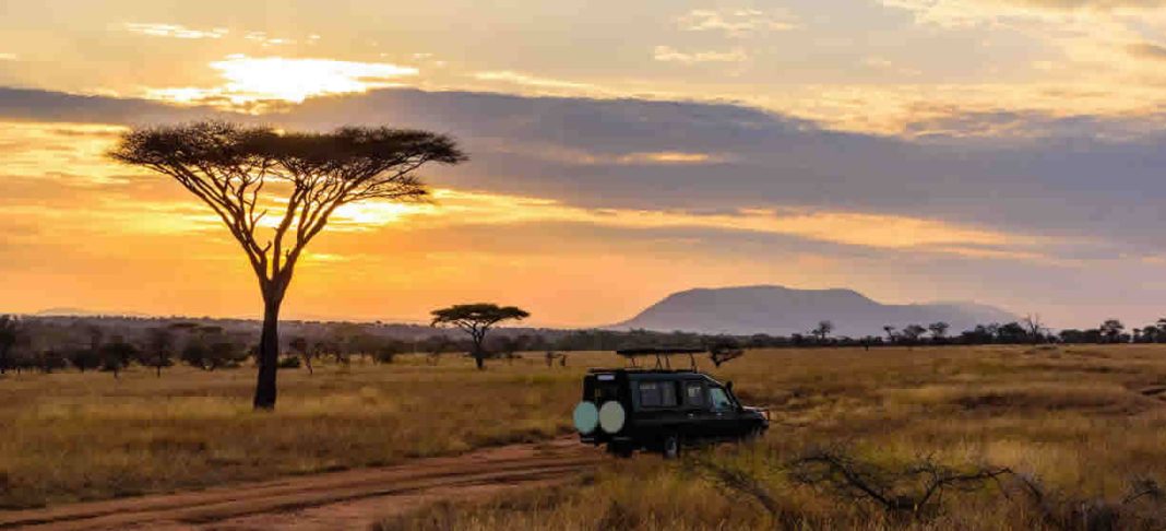 Katavi National Park – Tanzania Self-guided Safaris