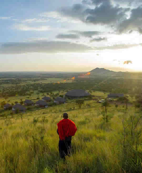 Serengeti Wildlife Tours and Self-drive Safaris Tanzania