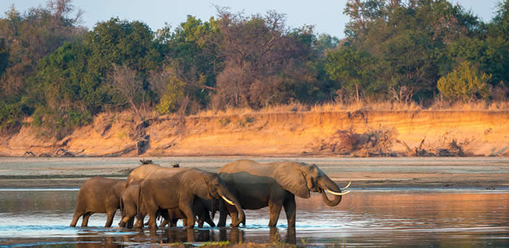 Luangwa National Park - Zambia adventure tours