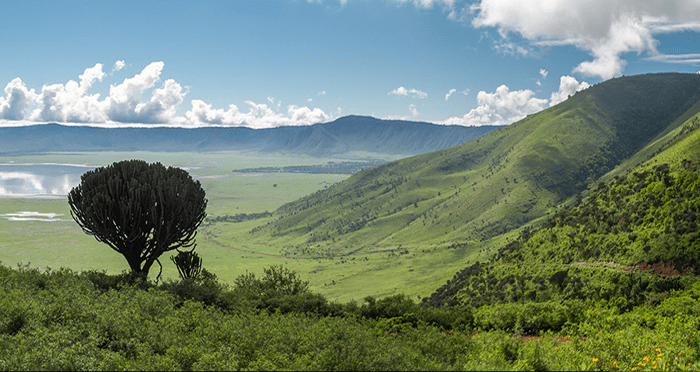 Ngorongoro Conservation Area Tanzania 4x4 Tours