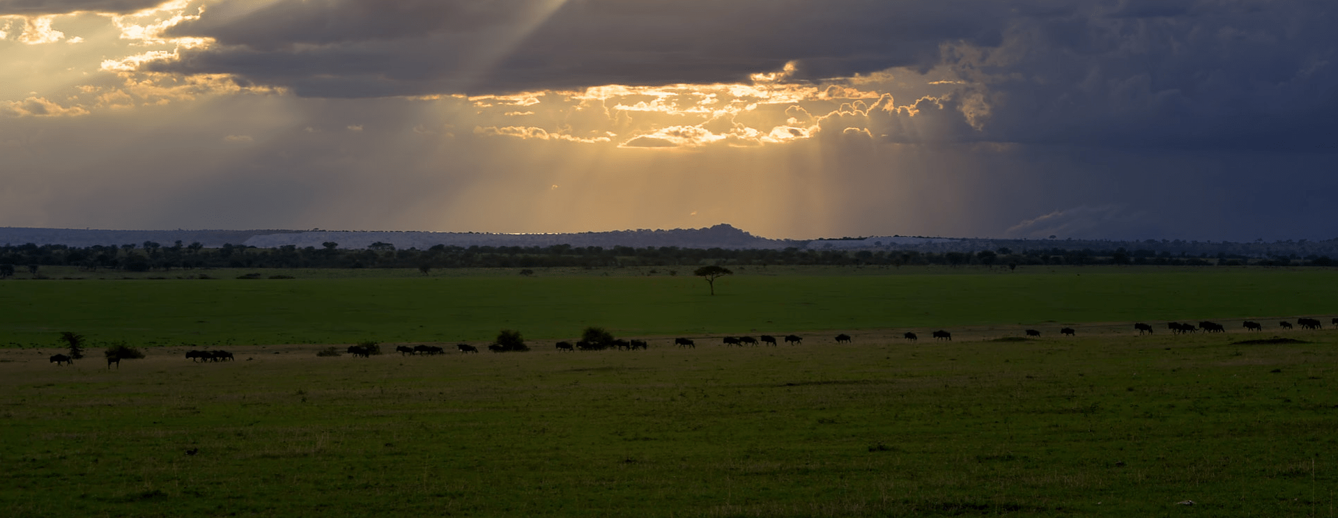 Ngorongoro Crater - Tanazania 4x4 Safaris