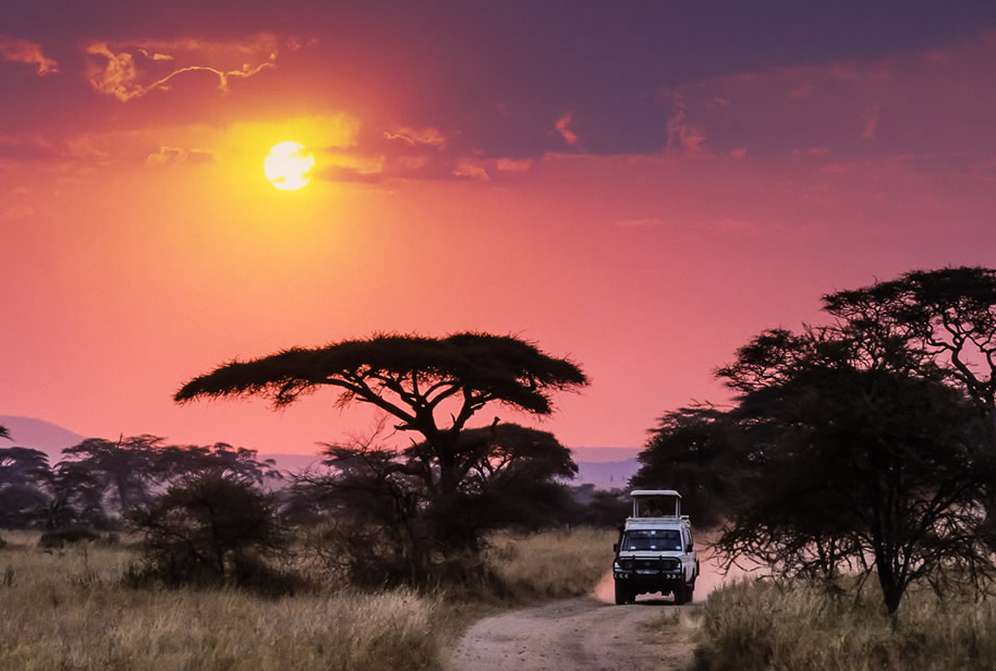 4x4 Africa Camping safaris