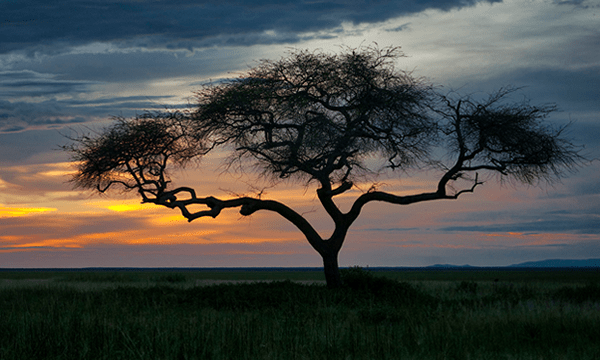 Nyerere National Park - 4x4 Tanzania self drive safaris