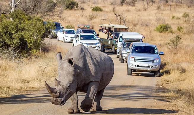 Kruger National Park - Self drive Safaris Southern Africa