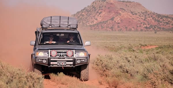 Plan a self-drive safari in Kruger National Park: rest camps, camping spots, Big Five routes & 4×4 rental tips for South Africa's top game reserve.